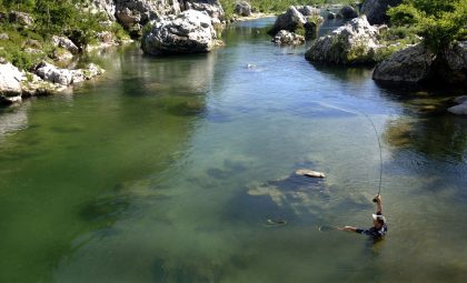 Pêcheur dans la rivière du Tarn, Lozère