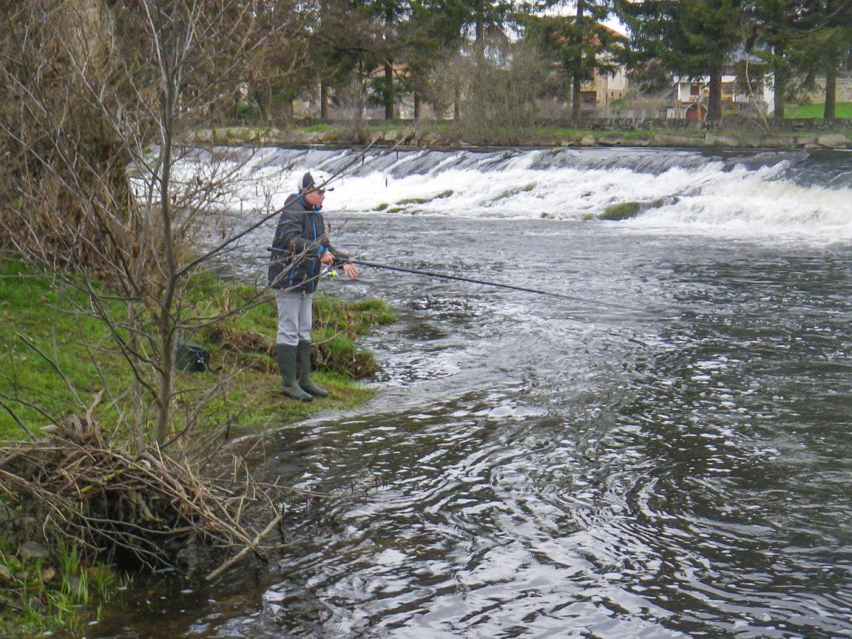peche truite truyere